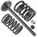 Caltric Exhaust Valve Kit Compatible With Honda Xr650l 1993 1994 1995 1996 1997-2009 2012-2022