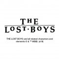 Graphics More The Lost Boys David Character Novelty Metal Vanity Tag License Plate