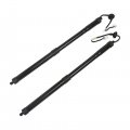Wflnhb 1 Pair Black Rear Tailgate Power Lift Supports Struts Replacement For 2014 2015 2016 2017 2018 2019 Nissan Rogue S Sl Sv