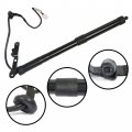 Waltyotur 1 Piece Black Rear Left Tailgate Power Hatch Lift Support Strut 6892009010 Replacement For Toyota Rav4 2013 2014 2015