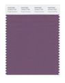 Pantone Smart 18-3012x Color Swatch Card Purple Gumdrop 