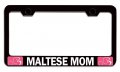 Maltese Mom Mothers Day Steel License Plate Frame Universal Fit For Us And Canada Auto Suv Truck Powder Coated Stainless 12 5 X 