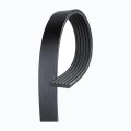 V Ribbed Serpentine Belt For Mercury Cougar 1999 2000 2001 2002 Black 6 Rib 78 58 In Outside Circumference 03 Effective Length 