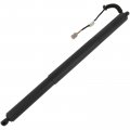 Aintier Automotive Replacement Shock Lift Supports Fit For Jeep Cherokee 2020