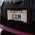 House Of The Dragon Bronze Targaryen Sigil License Plate Tag Frame