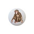 Monkey Wild Africa By Tle Series 1 5 Ceramic Cabinet Dresser Drawer Pull Knob