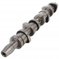 Ocpty Engine Camshaft Kit Fit For 2005-2006 Vw Jetta 038109101ah