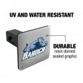 Baruch College Secondary Logo Tow Trailer Hitch Cover Plug Insert 1 4 Inch 25