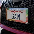 Wizard Of Oz Lion Character License Plate Tag Frame