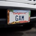 Wizard Of Oz Lion Character License Plate Tag Frame