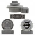 Airtex 1p1527 Cornering Light Socket