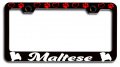 Maltese Dogs Pets Black Metal License Plate Frame Tag Holder Heavy Duty Stainless Steel Universal Fit For Us And Canada 