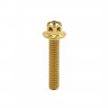 Uxcell 20pcs Gold Tone M6 X 30mm Motorcycle Titanium Alloy Hexagon Bolts Clips Screws