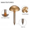 Uxcell Upholstery Tacks 10pcs 35 64 Inch Brass Furniture Nails Decorative Thumb Tack Push Pins For Diy Bronze
