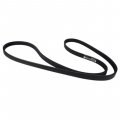 Motorcraft Drive Belt 