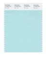 Pantone Smart 13-4909x Color Swatch Card Blue Light 