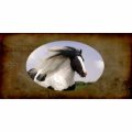 Gypsy Vanner Horse Photo License Plate Free Personalization On This 