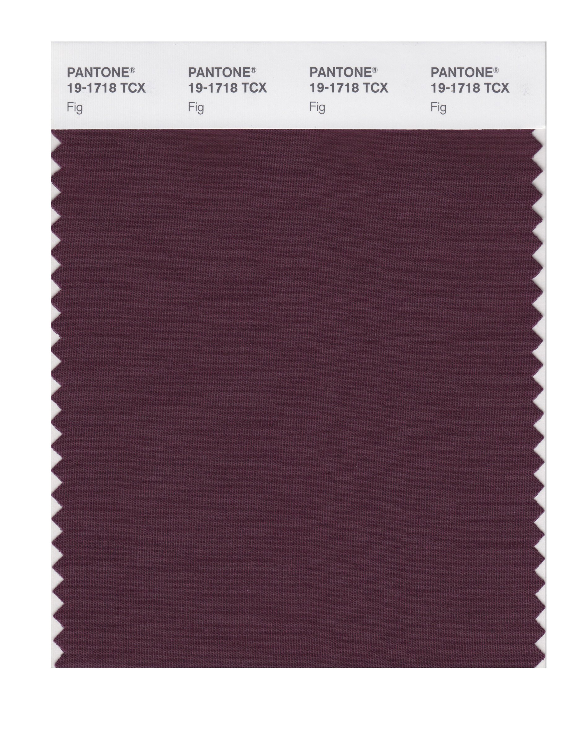 Pantone Smart 19-1718x Color Swatch Card Fig