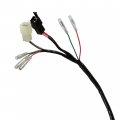 Caltric Wire Harness Compatible With Honda Fourtrax 300 Trx300 2x4 1994 1995