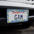 Animals Of The World Continents Atlas Globe Pattern License Plate Tag Frame