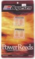 Boyesen Power Reeds 697 