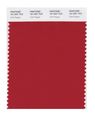 Pantone Smart 19-1557x Color Swatch Card Chili Pepper 