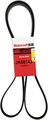 Motorcraft Jk6814j Belt 