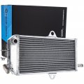 Niche Aluminum Radiator For Suzuki Quadracer 250 17710-19a00 2 Row With Cap