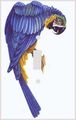 Parrot On The Branch Decorative Switchplate Cover 