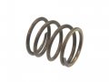 1956-1962 Corvette Upper Steering Column Bearing Spring