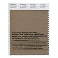 Pantone Smart Swatch 17-1115 Petrified Oak 