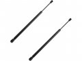 Hood Strut Shock Set Of 2 For 1998-2002 Honda Accord 