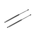 A-premium Hood Bonnet Lift Supports Shock Struts For Hyundai Santa Fe 2001-2006 2-pc Set