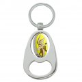 Graphics More Looney Tunes Wile E Coyote Keychain Chrome Metal Spinning Oval Bottle Opener