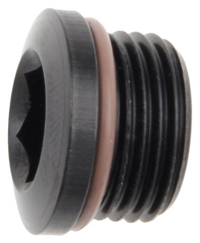 Fragola 481310-bl Size -10 Port Plug With Hex Socket