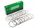 Evergreen Rs3005hp Std For Nissan Axxess 240sx Stanza Sohc Dohc Ka24e High Performance Engine Piston Ring Set Standard Size 