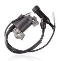Ignition Coil For Ford Fg3050p Fg4050p Fg4050pe 3000 3050 4050w Generator 