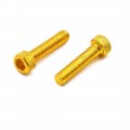 Uxcell 50pcs Gold Tone M6 X 30mm Motorcycle Car Hexagon Socket Fastener Bolts Screws