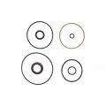 Carbpro Trim Piston Repair Seal Kit For 2004-2012 Evinrude Etec Marine 75-115hp Replace Fsm016 