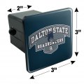 Dalton State College Primary Logo Tow Trailer Hitch Cover Plug Insert 2