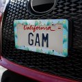 Pretty Parakeet Budgie License Plate Tag Frame