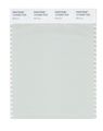 Pantone Smart 12-5203x Color Swatch Card Murmur 