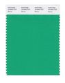 Pantone Smart 16-5942x Color Swatch Card Blarney 