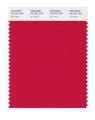 Pantone Smart 18-1761x Color Swatch Card Ski Patrol 