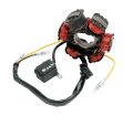 Rick S Motorsport Electric Alternator Stator Fits Honda Crf50 Xr50 Z50 Crf70 Xr70 Trx90 
