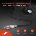 A-premium O2 Oxygen Sensor Compatible With Ford Mustang 2015 2017 E-350 E350 Super Duty 2016 5 0l 6 8l Upstream Downstream 2-pc
