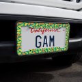 Citrus Lemon Lime Orange Slices Pattern License Plate Tag Frame