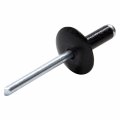 Lg Hd Rivet Black 250pk All18013 Large Head Rivets 