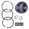 Fridayparts Piston With Ring Std 750-41610 186-6687 Compatible For Onan Engine Lpw Lpw2 Lpw3 Lpw4