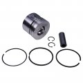 Fridayparts Piston With Ring Std 750-41610 186-6687 Compatible For Onan Engine Lpw Lpw2 Lpw3 Lpw4